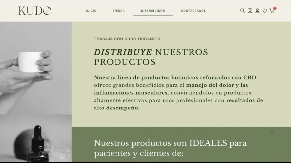 Portada de la tienda WooCommerce de Kudo Organics, con productos destacados y la sección de niveles de dolor