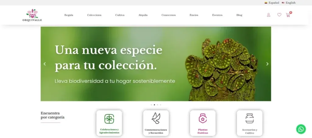 Orquivalle 1