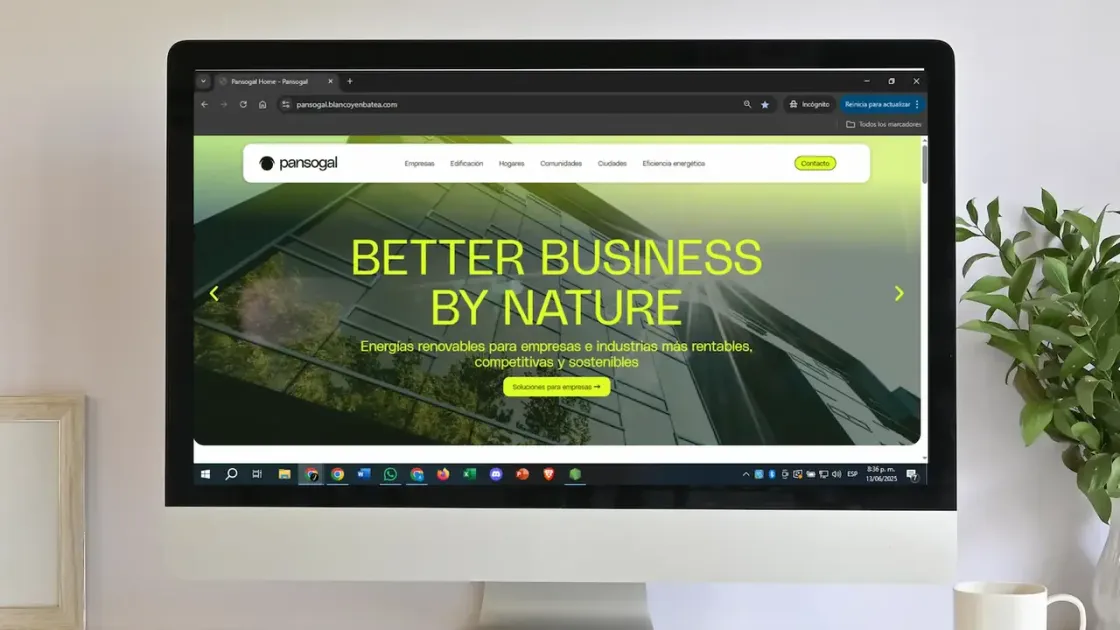 Pansogal — web corporativa, captura 2