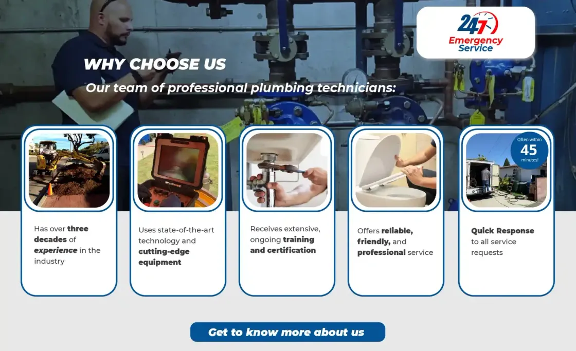 Royal Flush Plumbing — web corporativa, captura 3