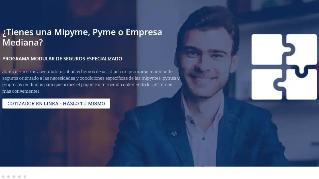 RL Partners — plataforma a medida, captura 2