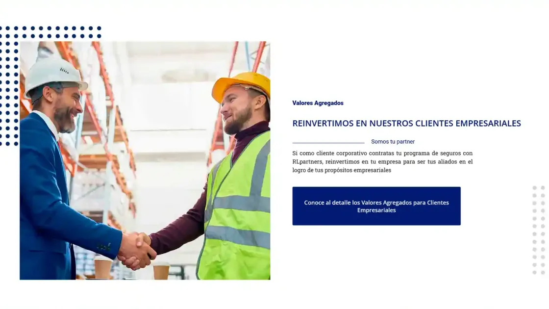 RL Partners — plataforma a medida, captura 3