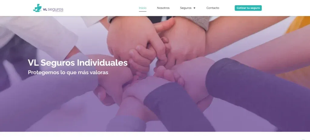 VL Agencia de Seguros 1